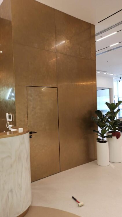 Дверь в металле в покрытии нитрид титана